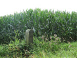Jachtpaal Landgoed Twickel